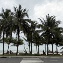 한결김치찌개 | 다낭 미케비치 숙소 보코마벨 IHG 근처 한식당 김치찌개 맛집 후기