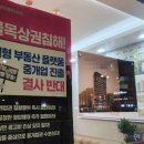 &#39;이날만 기다렸다&#39;…공인중개사협회 칼자루 휘두르나 [돈앤톡] 이미지