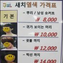 구피염색방