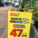 찹찹왕돈까스 | [성신여대 맛집 혼밥 온달왕돈까스]경양식 돈까스 끝판왕 내돈내산으로 영접합니다-