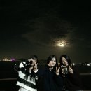 매미캠프