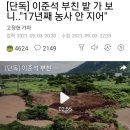 [단독] 이준석 부친 밭 가 보니.."17년째 농사 안 지어" 이미지