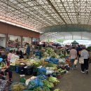 장계농장 이미지