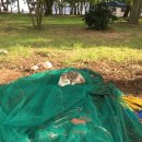 장항동해변민박 이미지