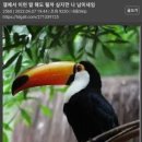 기니
