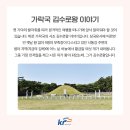 가야로 이미지