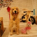 똑똑카페 이미지