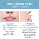 지성인중