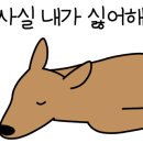 정선마루펜션 이미지