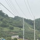 예산상회 네이버블로그