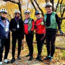 순천만 우리 이미지