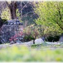 고향생각 이미지