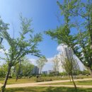 세병공원(아파트쪽) 이미지