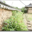 슬로시티삼지내마을 이미지