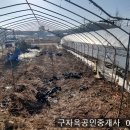 선원면-7 이미지