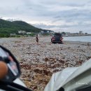 장가이버 이미지