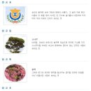 완산-65 이미지