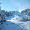 불행의 시작은 비교로부터 이미지