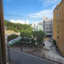 뉴동해관광호텔 조식 스탠다드더블룸 내돈내산 묵호숙소 추천