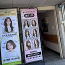 예다연 이미지