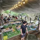 장흥계곡집 이미지