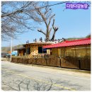 자풍농장 이미지