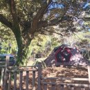 돈내코야영장화장실 | 돈내코야영장 부자캠(2026.03.07)