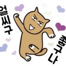 여우피어싱 이미지