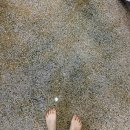 자유탕 | [찐후기] 겨울 캐리비안 베이 따뜻한 유수풀 🩷 가족들과 남친 여친과 하루 근교 나들이 데이트 장소 추천!!