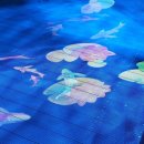 금산천 데크길 이미지