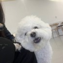 멍데이 살롱 이미지