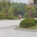퇴근길 Daum카페