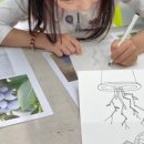 금정초등학교(유치원포함) 네이버블로그