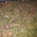 울안농장 이미지