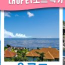 대아항공여행사 - 포항시 남구 상대로 135 | 대아항공여행사