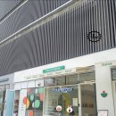 pokeallday 네이버블로그