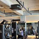 갱스터짐 이미지