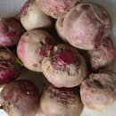 우종은농장 이미지