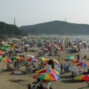 춘장대 해수욕장 티스토리