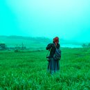 안성농장 이미지