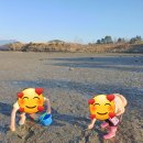 비토섬마린블루펜션 이미지