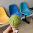 젤라송(GELASONG) 네이버블로그