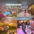 축제-04 | 서울근교 경기도 동두천 벚꽃명소 니지모리스튜디오 축제