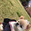 그루밍케이 이미지