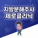 기양빌딩 | 수원지방분해주사, 후기가 엇갈리는 이유?