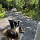 소여 민박 이미지