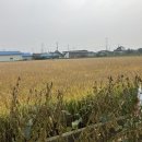 스테이 구만리 이미지