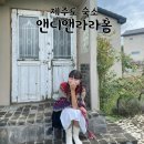 앤디앤라라홈 이미지