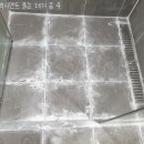 클린-숲