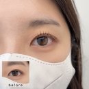 보떼달동 | 울산삼산속눈썹펌 라무르브로우 n번째 방문후기